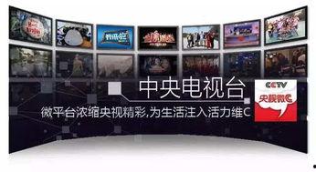 51cctv,聚焦时代脉搏，展现中国风采