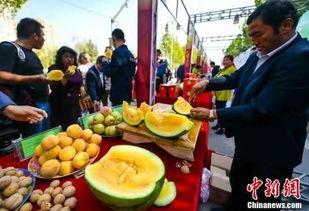 吃瓜部落官网,探寻网络红人背后的故事与魅力