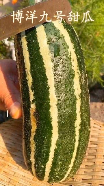 有什么瓜可以吃,盘点时令美味，畅享清凉夏日