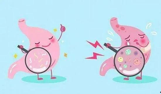 胃不舒服可以吃瓜